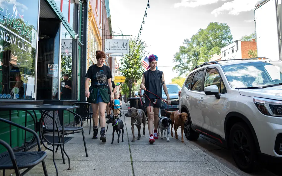 Multiple dogs under control on a downtown sidewalk, advanced obedience
