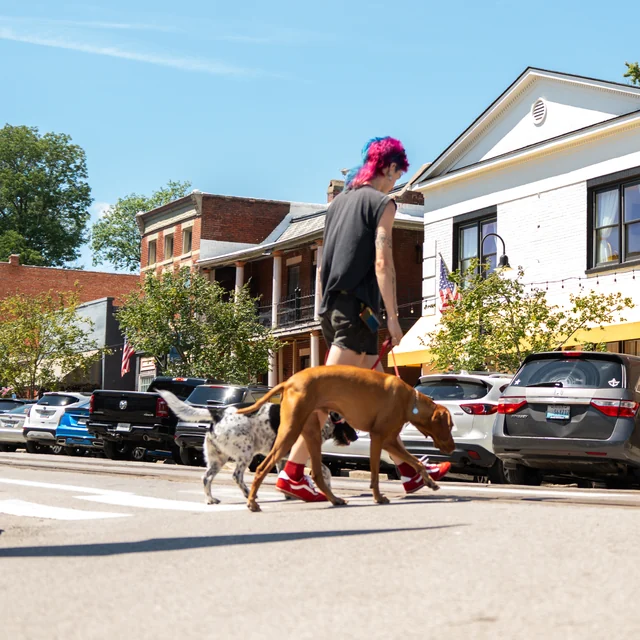 Trained dog at Black Woof Inn