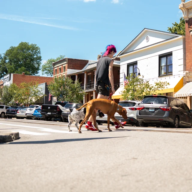 Trained dog at Black Woof Inn