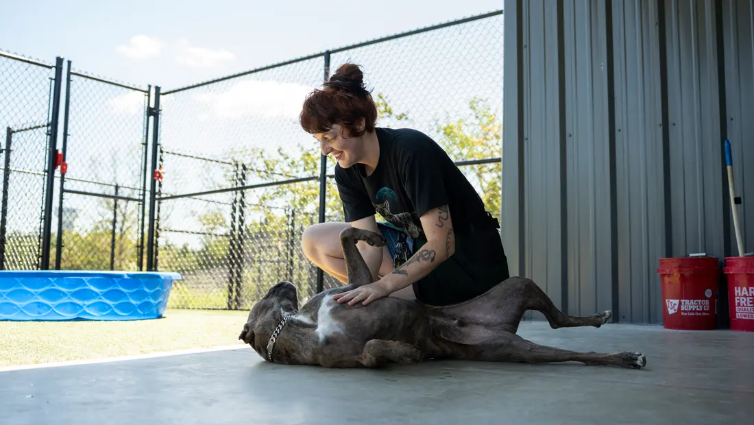 A Black Woof Inn trainer working hands-on with a dog