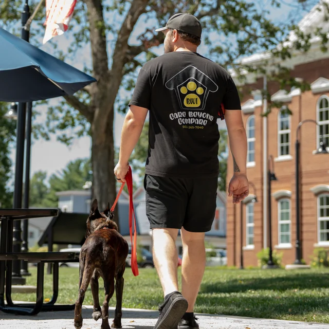 Trained dog at Black Woof Inn